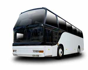 Buses