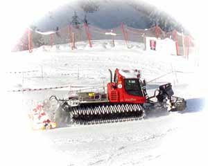 Trail Grooming